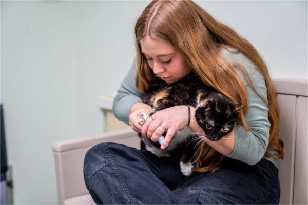 Lily Clark, 选择休息的总裁，正在给猫修剪指甲. 克拉克是这次动物收容所之旅的学生现场负责人.