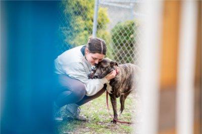 一名学生在动物收容所的围栏里拥抱一只狗
